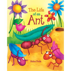 The Life of an Ant