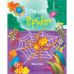 The Life of a Spider